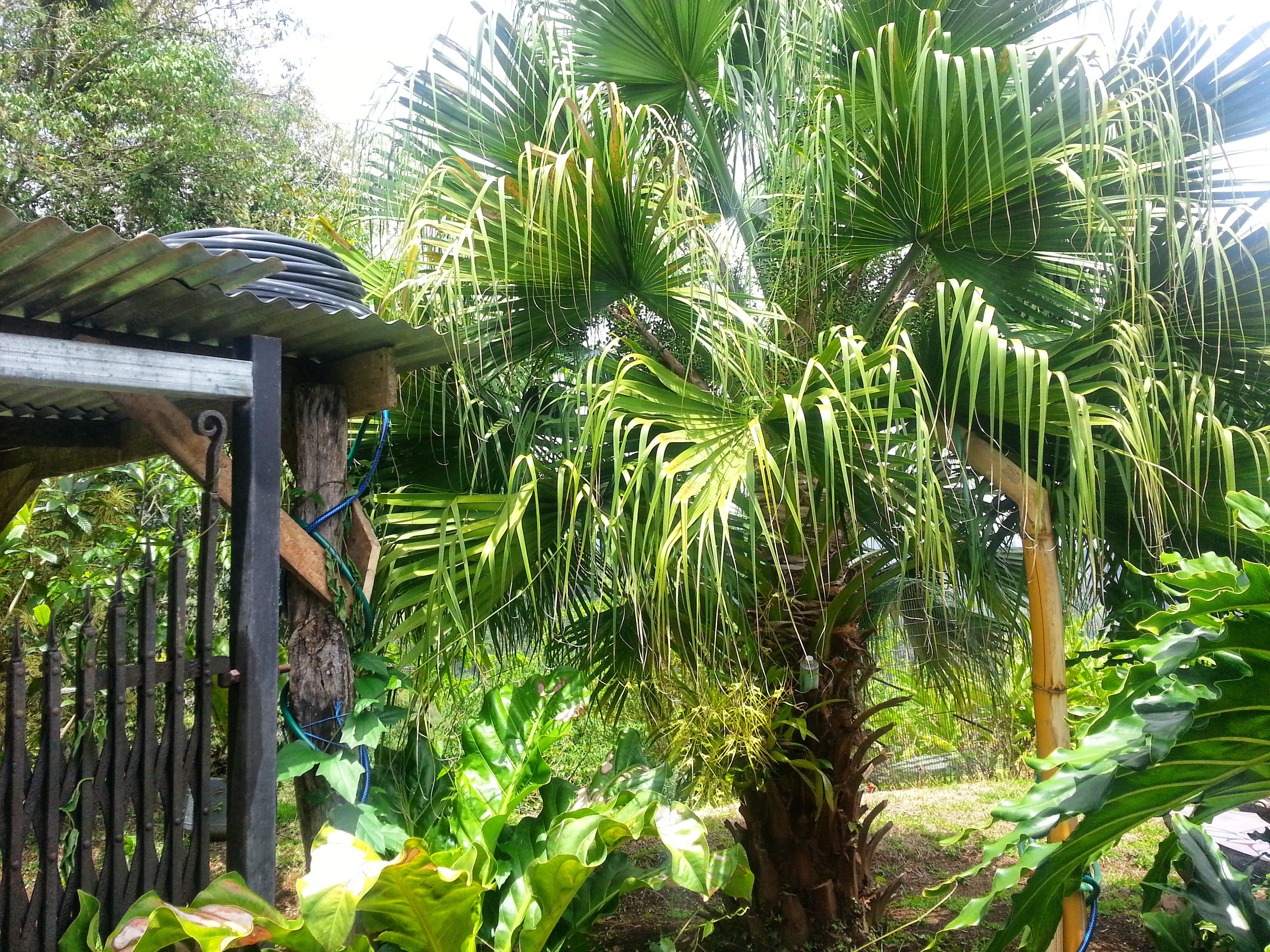 This outdoor shower happens to be in Maui, but  there's no