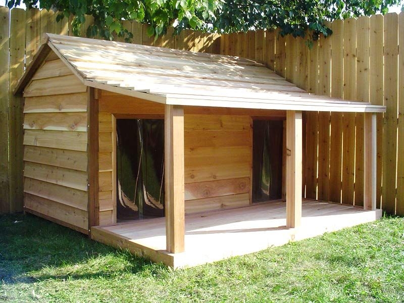 cool dog houses