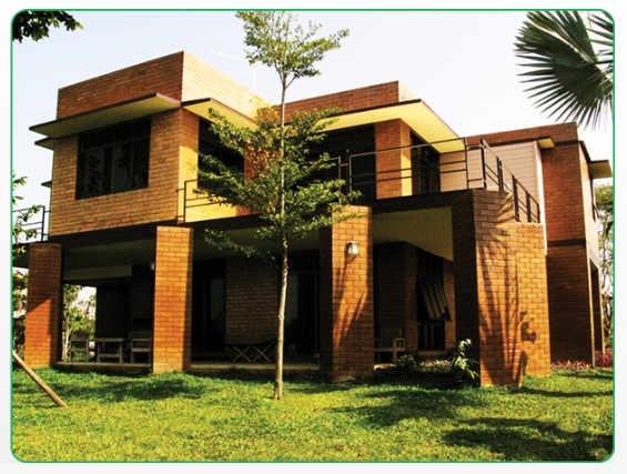 Modern driveway with concrete and turf between