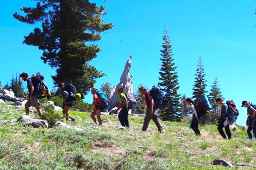 Coloma Outdoor Discovery School partners with Bee Love Farms to offer a  cutting edge Eco Science Exploration Experience! Just a short walking  distance from