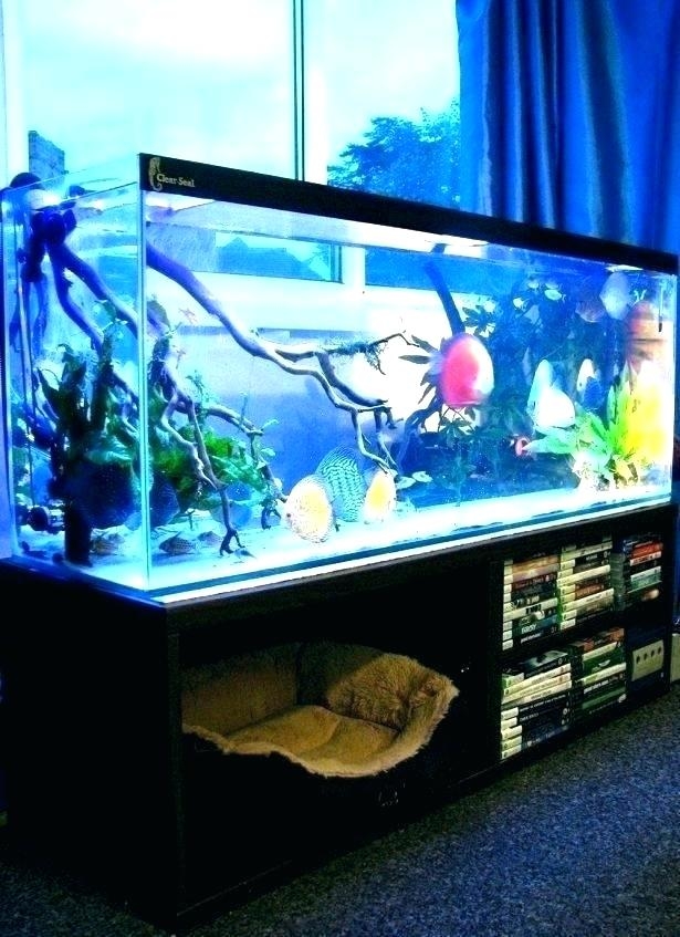 fish tank in bedroom fish tank bed in bedroom hotel best tanks images on aquariums  aquarium