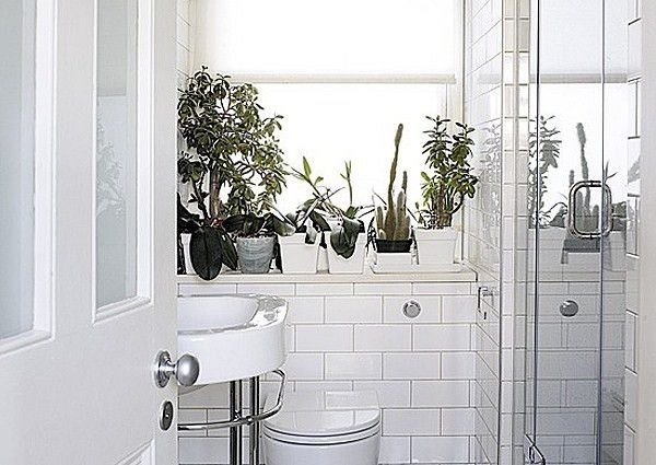 Bathroom Style Trends: Bathroom Plant Ideas from Bathroom Bliss by Rotator  Rod