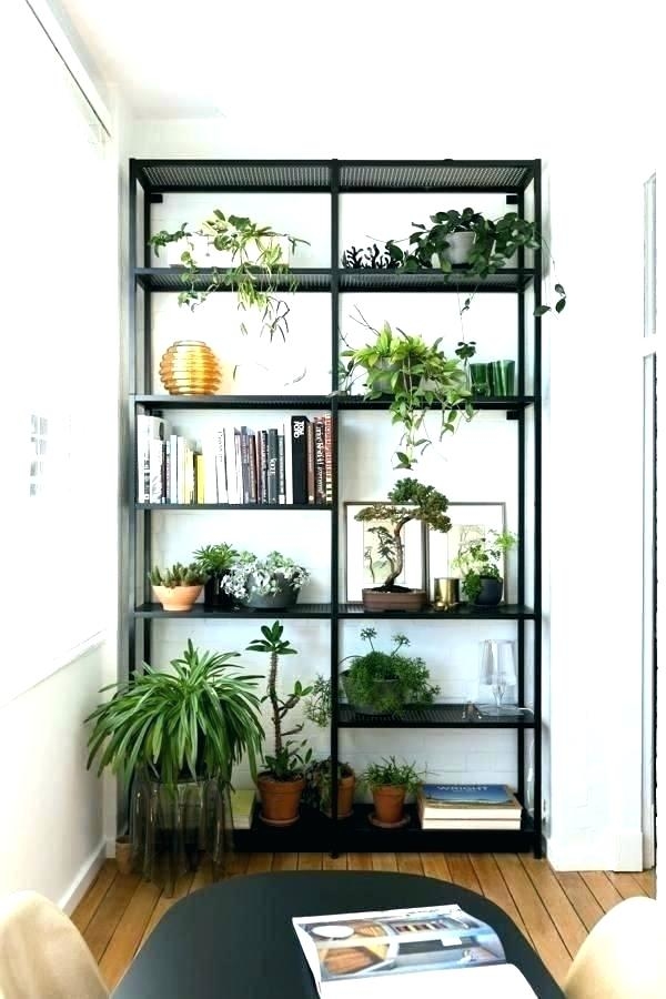 ideas for plant shelves shelf greenhouse bathroom ledge decorating pictures