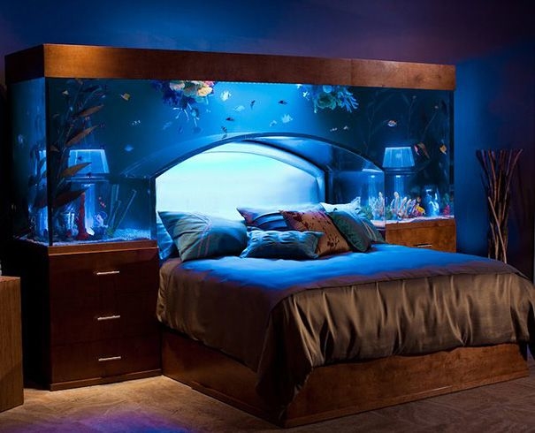 fish tank in bedroom good or bad idea aquarium ideas ta