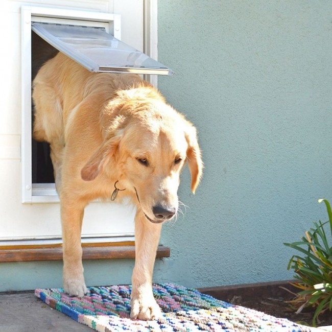 indoor dog kennels kennel flooring ideas for sale near me diy plans