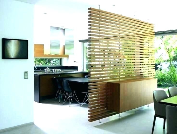 living room dividers ideas