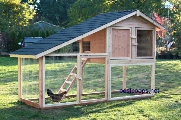 chicken house design